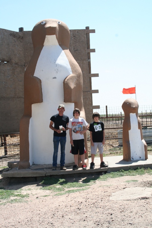 It's not all racing.  We got the see Prairie Dog Town!